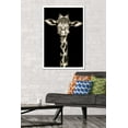 thumbnail image 2 of Portrait of a Giraffe Wall Poster, 22.375" x 34", Framed, 2 of 5