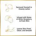 thumbnail image 4 of Olay Fresh Outlast Pain de Beauté Rafraîchissant Fraise Blanche & Menthe (4 Pains), 4 of 9