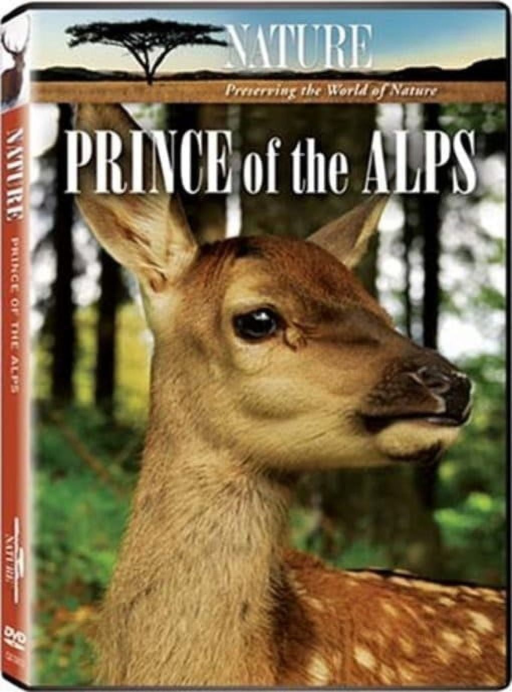 Nature: Animals Gone Wilder! DVD NEW - Walmart.com