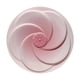 thumbnail image 5 of Rubor labial natural y delicado, rubor blanqueador y contorno delicado en polvo., 5 of 6