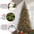 thumbnail image 6 of National Tree Company Pre-Lit Artificial Slim Christmas Tree, Green, Aspen Spruce, White Lights, Includes Stand, 7 Feet, 6 of 10