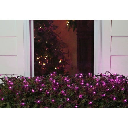 Christmas Netting Lights Northlight 150 ct. LED Net Style Christmas Lights with Green Wire ()