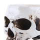 thumbnail image 5 of Maceta Flores para Suculentas Modelo Calavera Resina Halloween Terror, 5 of 9