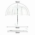 thumbnail image 2 of Clear Bubble Umbrella, Stick, 10 Pack, 2 of 7