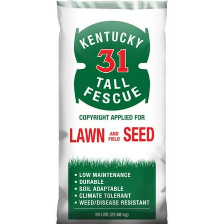 Kentucky 31 Tall Fescue Grass Seed 50 Lbs Kentucky 31 Tall Fescue Grass Seed 50 Lbs