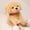 A, variant on Plush Labrador Retriever Stuffed Animal-Soft Sensory Companion Plush Toy -9 Inches