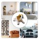 thumbnail image 5 of Muñecas De Perro De Coche Bobble Head Dog Toys - Clever Cute Dancing Dogs para la decoración del adorno del salpicadero del coche, 5 of 5