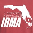 thumbnail image 3 of CafePress - I Survived Hurricane Irma T Shirt - Mens Comfort Colors Shirt, 3 of 5
