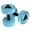Blue, variant on Water Gear Resistance Bells
