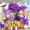 Purple Gold White, variant on Red Black Gold Balloon Arch Kit with Explosion Star Foil Balloons Black Gold Balloons Red Confetti Graduation Balloon Garland for 2025 Graduation Decoration Birthday Baby Shower Party