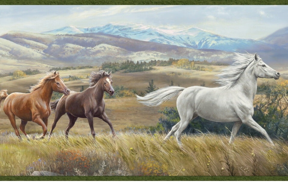 878321 Open Range Horses Wallpaper Border - Walmart.com - Walmart.com