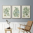 thumbnail image 4 of Buchoz Tropicals IX - Framed Premium Gallery Wrapped Canvas L Frame 3 Piece Set - Ready to Hang, 4 of 4