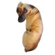 thumbnail image 3 of Almohada con estampado de perro curvado en 3d, Animal realista, cabeza de perro divertida, Cosplay, juguete favorito para niños, 3 of 5