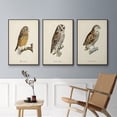 thumbnail image 5 of French Owls I - Framed Premium Gallery Wrapped Canvas L Frame 3 Piece Set - Ready to Hang, 5 of 9