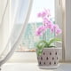 thumbnail image 2 of Contenedor Crecimiento Plantas Maceta para Orquídeas 5 Uds Con Drenaje Y Bandejas La Las Raíces, 2 of 9