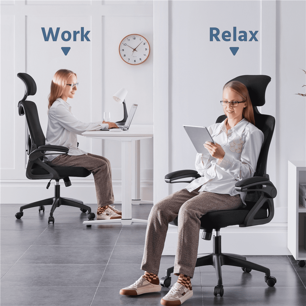 Renwick Set of 2 High Back Office Chair Computer Chair for Adult, Black