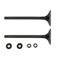thumbnail image 1 of VALVULA ADMISION/ESCAPE SET VENTO CROSSMAX 250 (20-21), 1 of 2