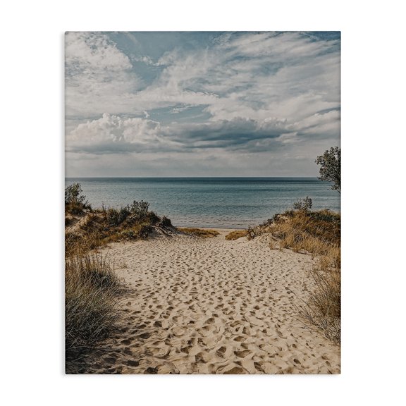 Stupell Industries Coastal Traveled Beach Path Canvas Art, 16 x 20, by LSR Design Studio
