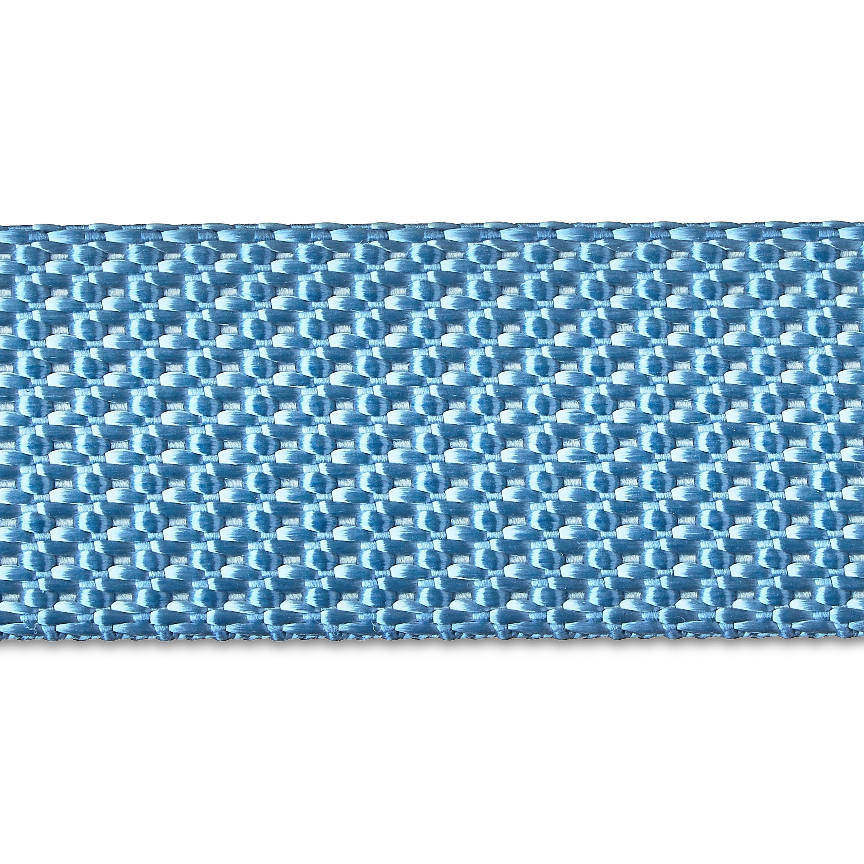 Vibrant Life 6' Neoprene Cushioned Leash, Soft Blue, M/L