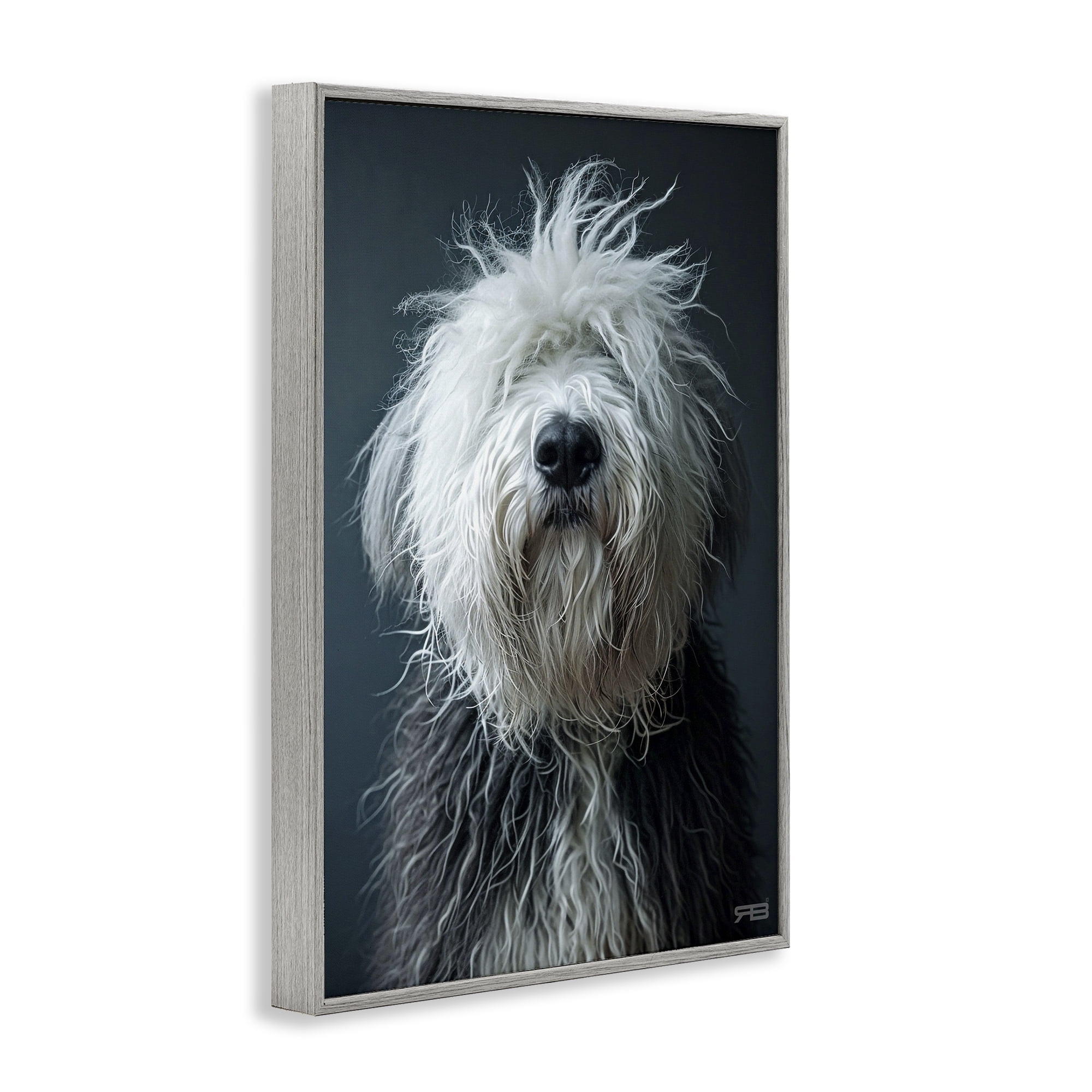 Stupell Industries Shaggy Pup Portrait Animals & Insects Painting Gray Framed Art Print Wall Art, 20 x 30