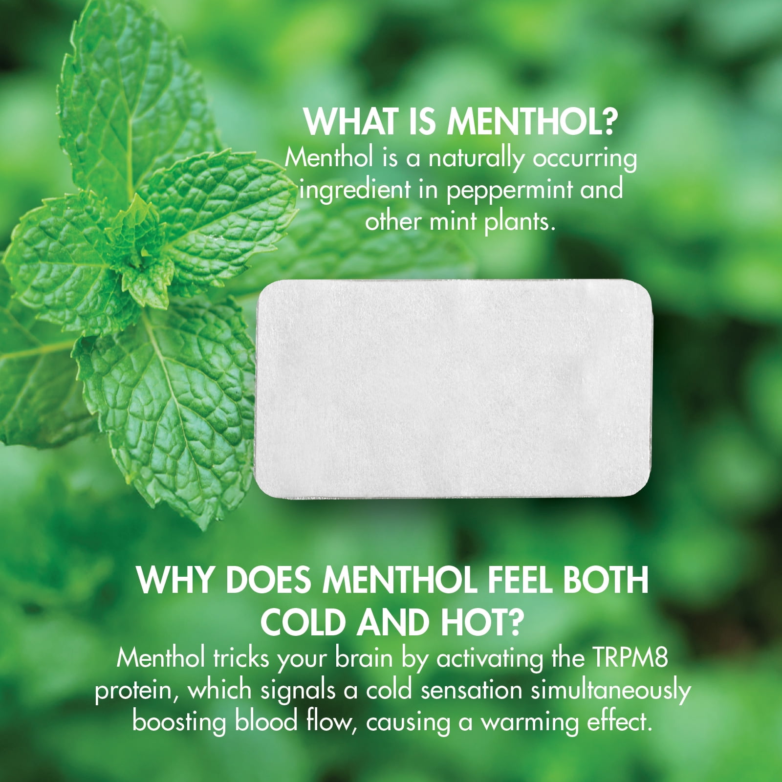 HealthWise Menthol Pain Relief Patch | 5% Menthol | Size 3.9” x 7.9” | 12-Count | Paraben-free | Soothes Minor Aches and Pains | Focused Relief