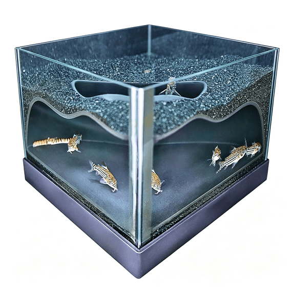 PAGEIA Aquarium Underground Corner Cave Natural Curveviewing Fish & Shrimp under Gravel Tunnelfish Tank Decor Decoration Hideout Perfect for Corydora Catfish,Kuhli Loach,Pleco