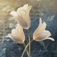thumbnail image 2 of Knutsen, Conrad 20x20 Gold Ornate Wood Framed with Double Matting Museum Art Print Titled - Sweet Breeze II, 2 of 4