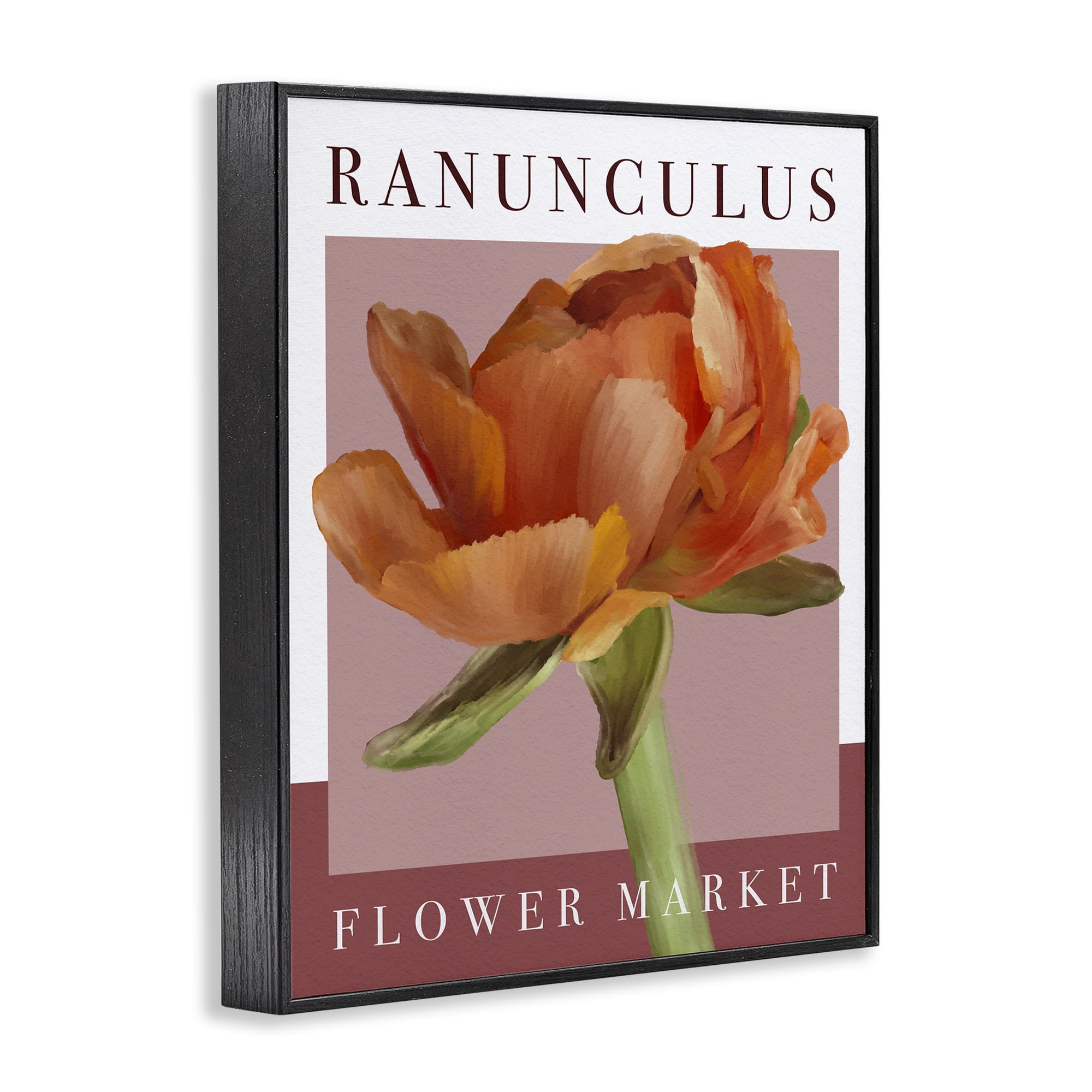 Stupell Industries Ranunculus Flower Market Black Framed Giclee Art, design by Jennifer Stith