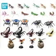 thumbnail image 2 of Insects Gashapon Big Picture Book Series Mantis Spider Scorpion Wasp Simulation Insect Action Figure Model Toys, 2 of 5