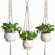 thumbnail image 1 of 3pcs Plant Hanger Macetero Colgante Para Plantas esquí esquí Gafas de esquí, 1 of 5