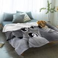 thumbnail image 2 of LHSHID Penguin Throw Blanket Warm Fuzzy Plush Bed Blanket Fleece Flannel Blanket Cute Penguins Family Fun Art Lightweight Blanket Throw for Sofa Bed Couch 30"x40", 2 of 7