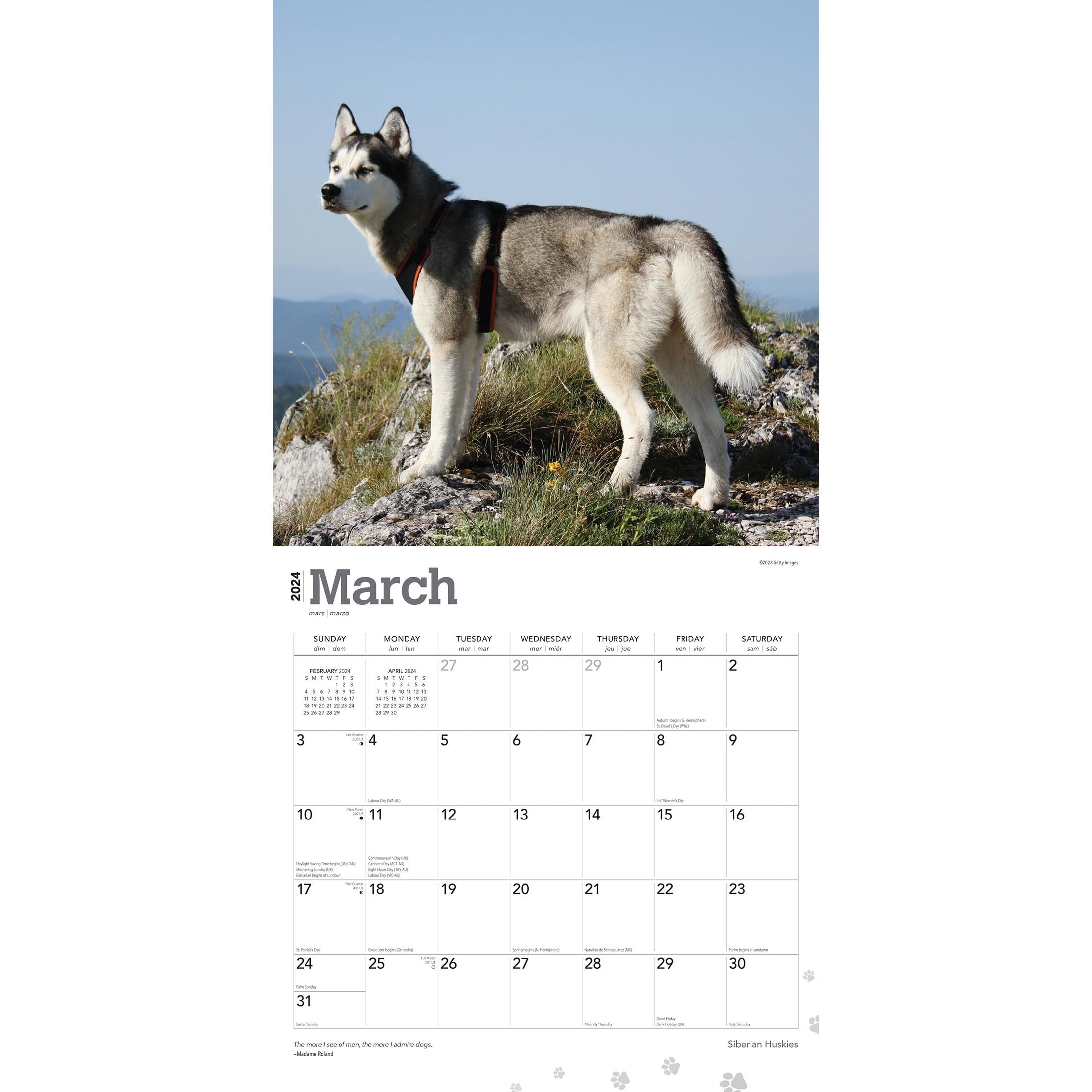 Siberian Huskies | 2024 12x24" (Hanging) Wall Calendar | BrownTrout -  Walmart.com