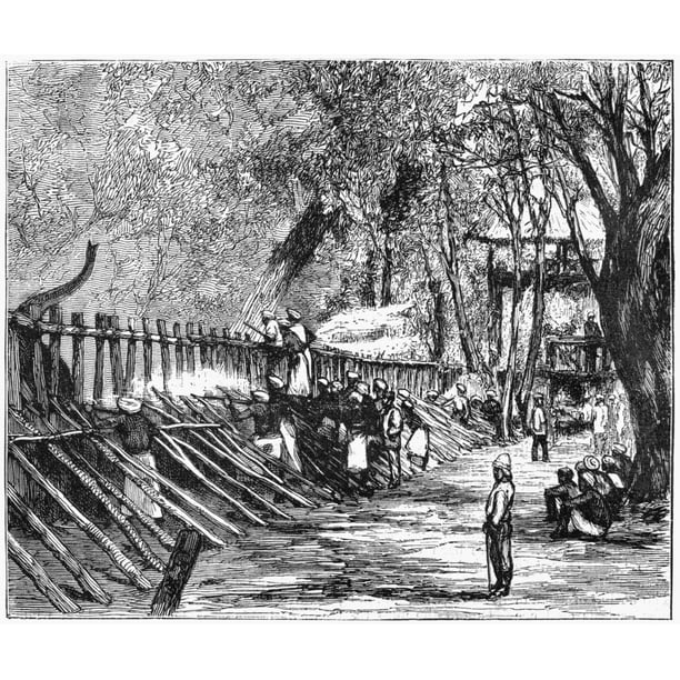 Elephant Shooting 1874. N'Shooting Spare Elephants In A Corral' To