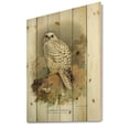 thumbnail image 2 of Designart 'Ancient Bird Life VII' Traditional Print on Natural Pine Wood, 2 of 5