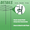 thumbnail image 3 of 6X Peony Stand, Peony Support Cage, Plant Stand Growing Plant Stand Suitable for Roses, , Orchids,6 x climbing frame,Green, 3 of 7