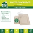 thumbnail image 5 of 50 Platos Cuadrados Ecologicos 26 cm / 10 x 10 Pulgadas Color Café Berry Green PLC10N, 5 of 5