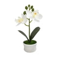 thumbnail image 2 of JZCHUNTOY Simulation Phalaenopsis Potted Ornament, Realistic Artificial Flower Green Plant, Exquisite Craft, No Maintenance, Decor for Home, Office, Living Room, Desktop Decoration, 2 of 6