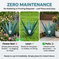 thumbnail image 5 of Lumiartisan Outdoor Metal Agave Plant 35cm/13.8" Iron Garden Decor No Assembly, 5 of 8