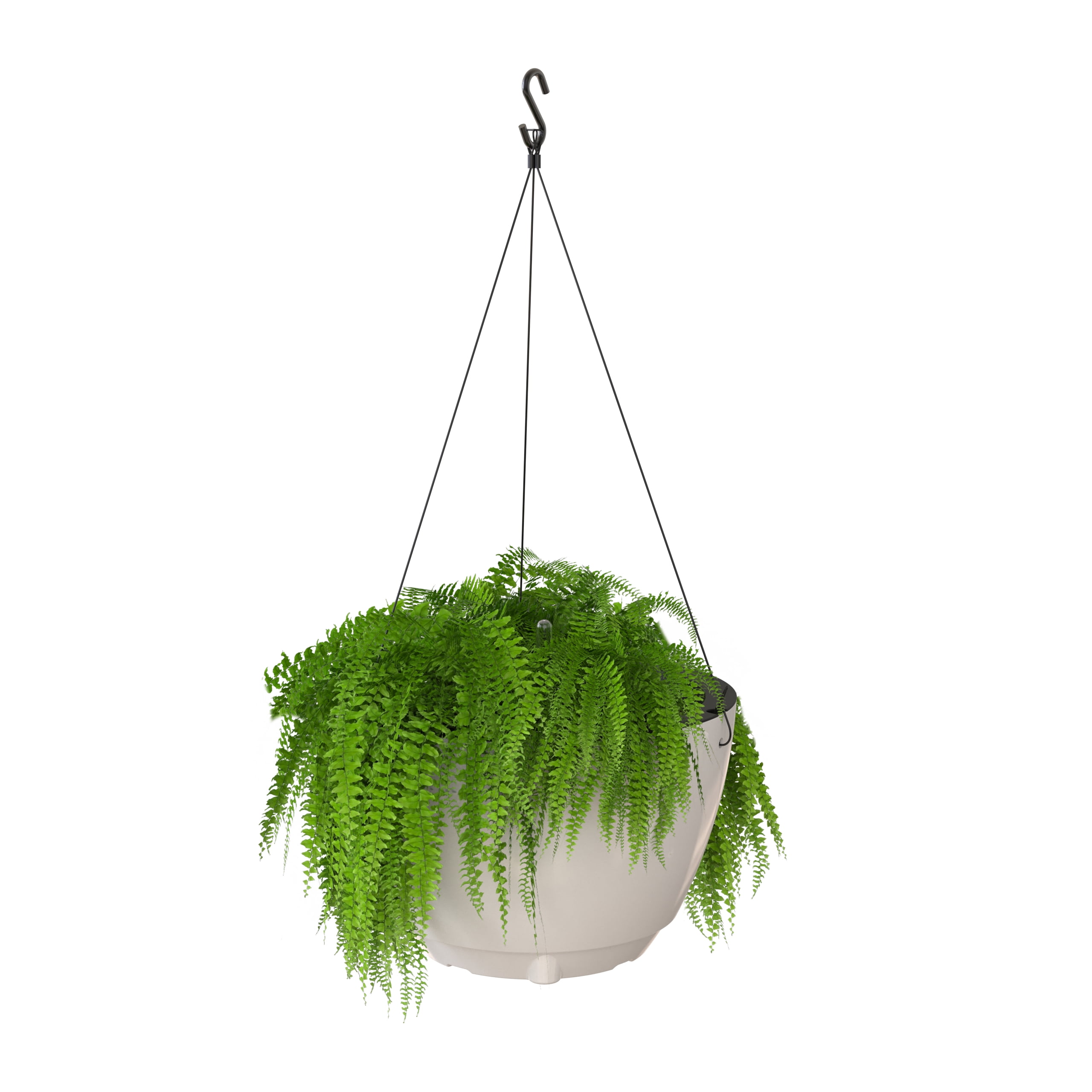 Mayne Caprio 14" x 9" Round White Hanging Self-Watering Plastic Hanging Planter