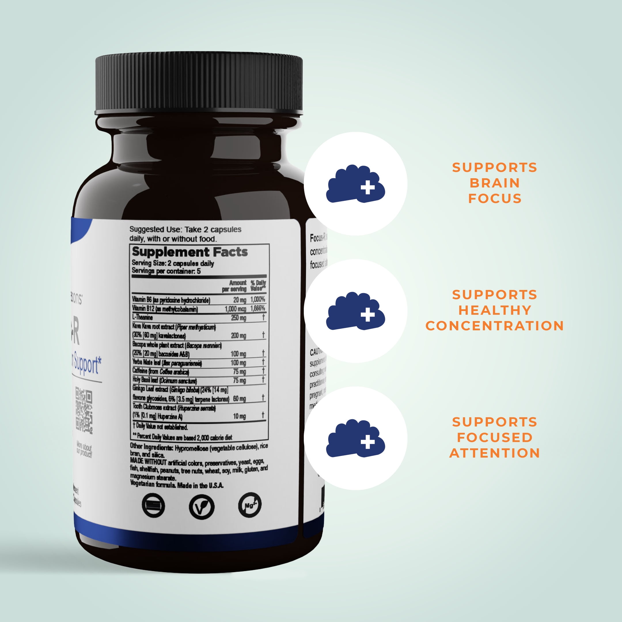 LifeSeasons - Focus-R - Concentration and Focus Supplement for All Ages -  Nootropics Brain Formula Mind and Memory - Yerba Mate, Huperzine A, Ginkgo  Biloba - 60 Capsules - Walmart.com