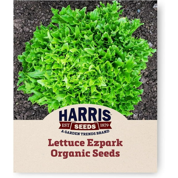 Harris Seeds - Lettuce Seeds Ezpark MTO Organic - 250 Pelleted Seeds