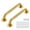 Polished Gold-12 Inch-2, variant on 12 Inch White 2 Pack Stainless Steel Bathroom Grab Bar