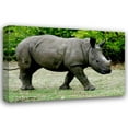 thumbnail image 1 of Dana Underdahl 44x31 Gallery Wrapped Canvas Wall Art Titled - Rhino III, 1 of 4