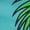 Teal, variant on Men's Desert Scene Graphic Swim Shorts, S-XL
