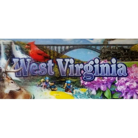 

West Virginia with Cardinal 3D Fridge Magnet