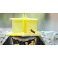 RAID Yellow Jacket, Wasp, & Trap, Disposable Plastic Trap with