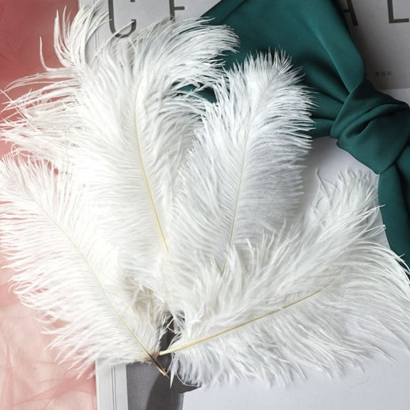 50 pc Bleached Ostrich Feather Ornament Accessories for DIY Photo Props Backdrop Craft White 150~200mm