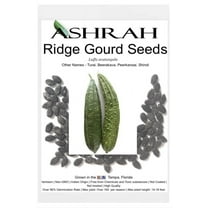 Exotic Indian Ridge Gourd Seeds