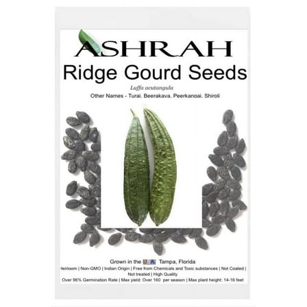 Exotic Indian Ridge Gourd Seeds