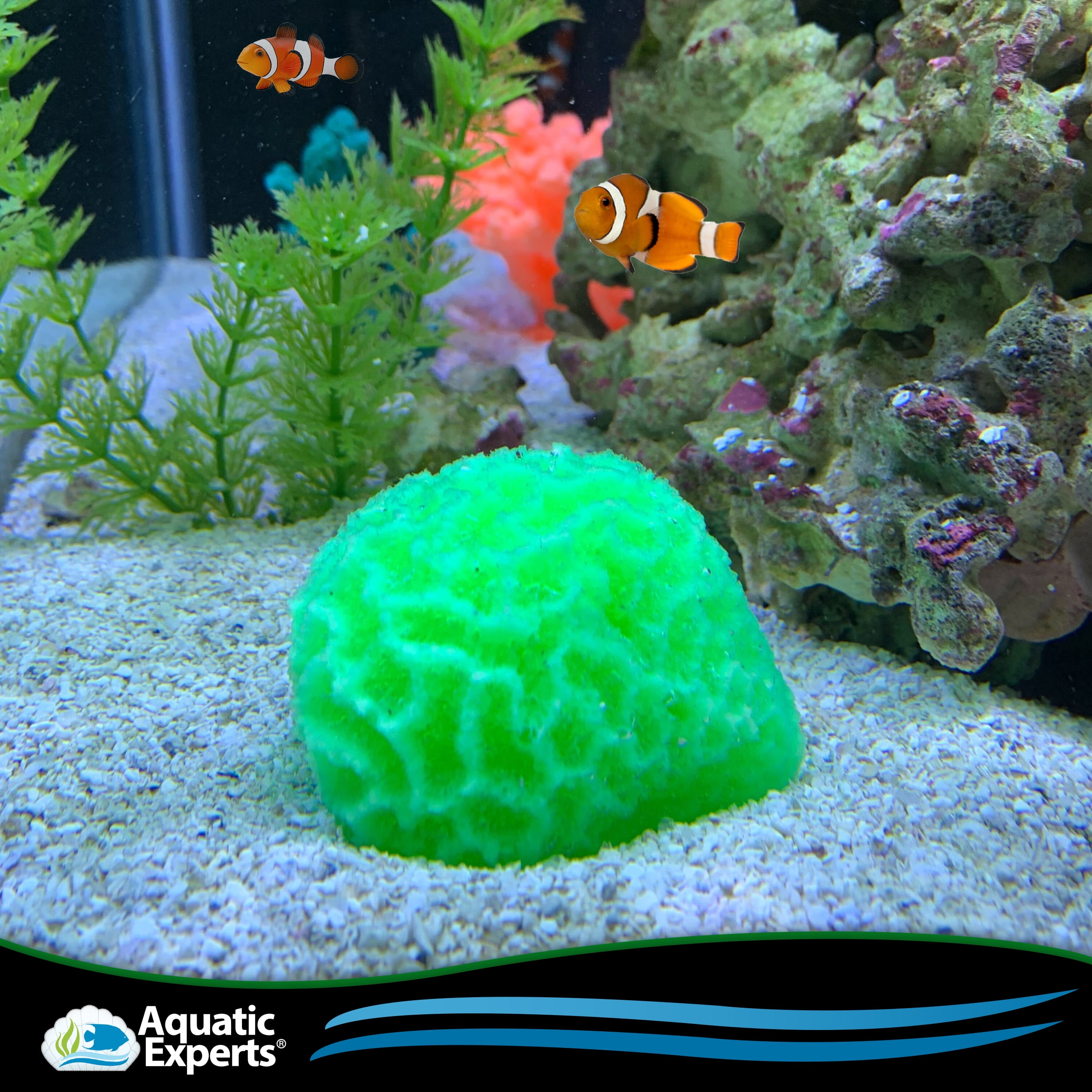 Light Mint Green Replica Brain Coral Aquarium Ornament Decor US Seller 